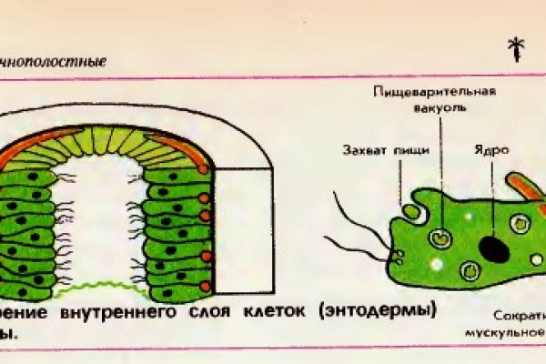 Kraken магазин