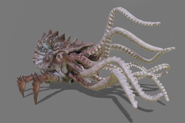 Кракен krakens13 at