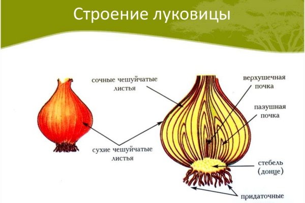 Kraken маркетплейс официальный