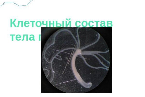 Ссылка на кракен