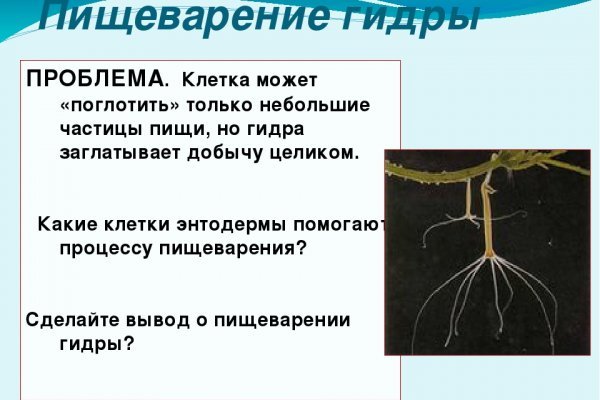 Кракен даркнет 2krnmarket
