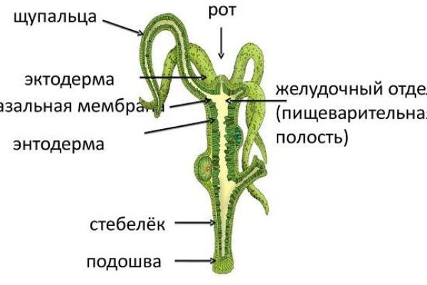 Кракен наркоторговля